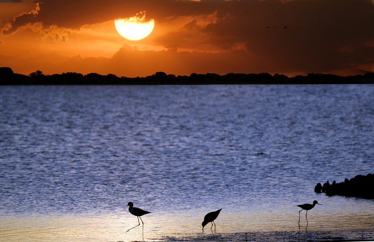 blog-turystyczny (229)