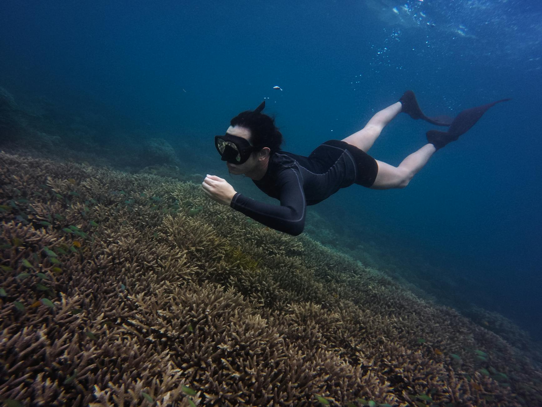 Nurek snorkeluje nad kolorową rafą koralową na Koh Tao