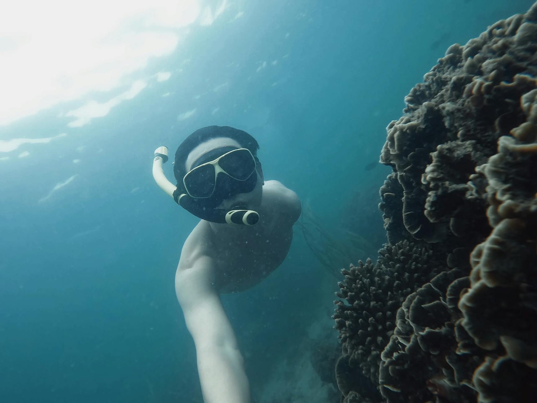 Nurek z rurką nad kolorową rafą koralową w turkusowej wodzie Koh Tao